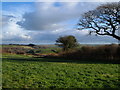 Field and view near Holbeton