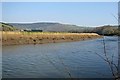 The River Tamar