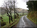 Lane at Blaen y Waun