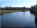 River Avon south of Breamore Mill