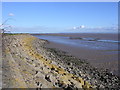 ST4183 : The Severn Estuary at low water by Gill  Stott