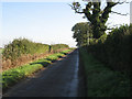 The Lane Beside The Common