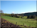 Farmland at Y Fan