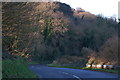 The Ballypollard Road near Magheramorne