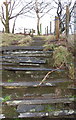 The way home - steps at the top of Vivian Quarry