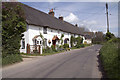 Cottages at Lower Street, Winterborne Whitechurch