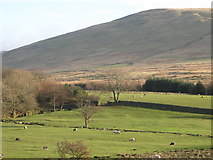 SD1392 : Corney Fell by Andrew Woodhall