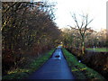 Minor Road Near High Wardneuk