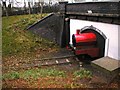 Train Sculpture, Woodthorpe Park