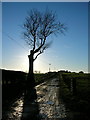 Track Leading to Kirkhill Farm