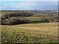 Ashcombe Farm and Brixton from Gala Cross