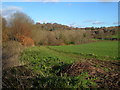 Yealm valley from Puslinch