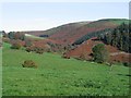 Valley near Ael-y-coryn