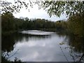 Telford Town Park Pool