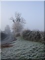 Looking towards Aston Abbotts