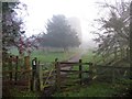 Jurassic Way in Sibbertoft church yard