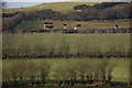 Cairn Hill near Carrickfergus