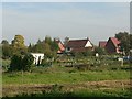 Dereham Allotments