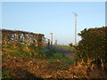 Footpath to Bradley Moor.