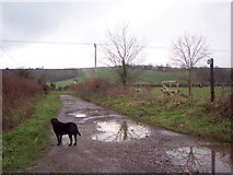 SU0725 : Bridleway to Faulston Farm Cottages by Maigheach-gheal