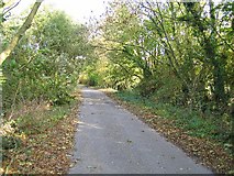 SU0296 : Lane leading to Shorncote by Tony Woodward