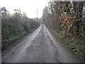 Wallingwells Bridleway