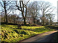 Lane to Cudlipptown Farm