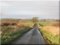 Road near Belchester, Berwickshire.