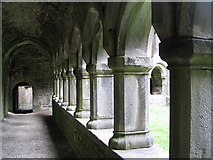 G2328 : Moyne Friary, pillars of the cloister by Francoise Poncelet