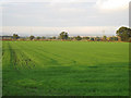 Towards The Howardian Hills