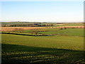 Flat Ground Beside Biggary Burn