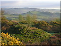 View from Highoredish to Ashover Hay