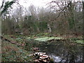 The moat of Fort Fareham