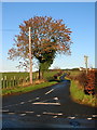 Minor Road Leading to Little Foulton