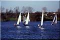 Dinghy sailing in Danson Park, Bexley.