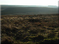 NY8656 : Moorland above Allendale by Andrew Smith