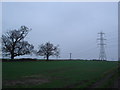 Farmland on Petersham Farm