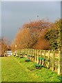 Great Ayton Cricket Pitch Seating