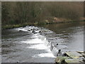 Cored Crawia Weir