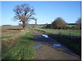 Three Shire Bridleway near Lavendon