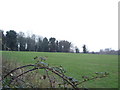 View of Long Plantation from Barton Hill Dairy