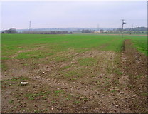 TQ8924 : Field near Moat Farm by Simon Carey