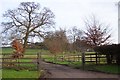 A fine treescape lining the drive to The Grondra