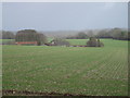 Farmland opposite Westbury Farm