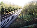 Piccadilly Line to Oakwood