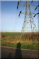 Pylons across farmland