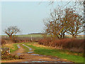 Farm track to Westborough