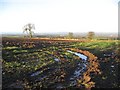 A waterlogged field