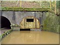 Man-made bat cave at Dibbinsdale