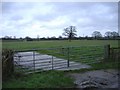 Fields north of Pink Lane